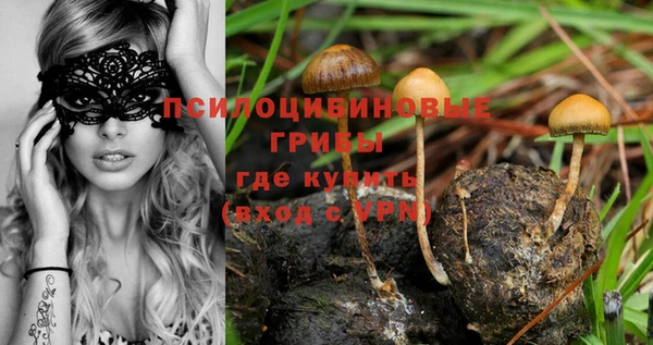 каннабис Абаза