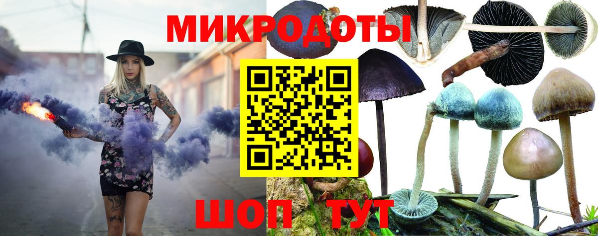 Псилоцибиновые грибы GOLDEN TEACHER  Вход с VPN  Курск 